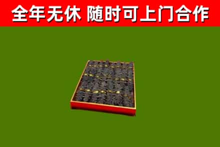 玛沁县回收海参